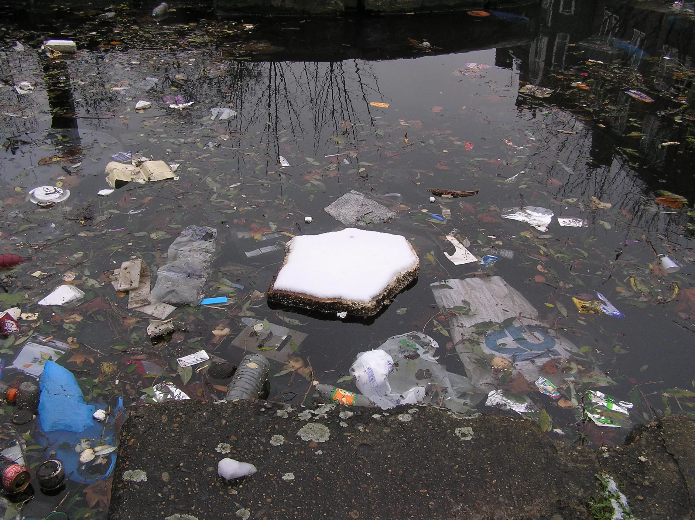 Photograph of white snowy polystyrene floating on filthy littered water by Abi Spendlove